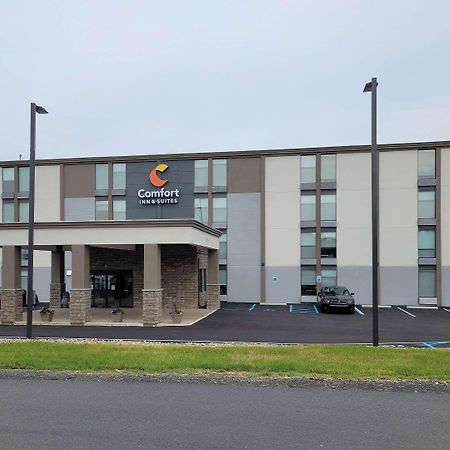 Comfort Inn & Suites Wyomissing-Reading المظهر الخارجي الصورة