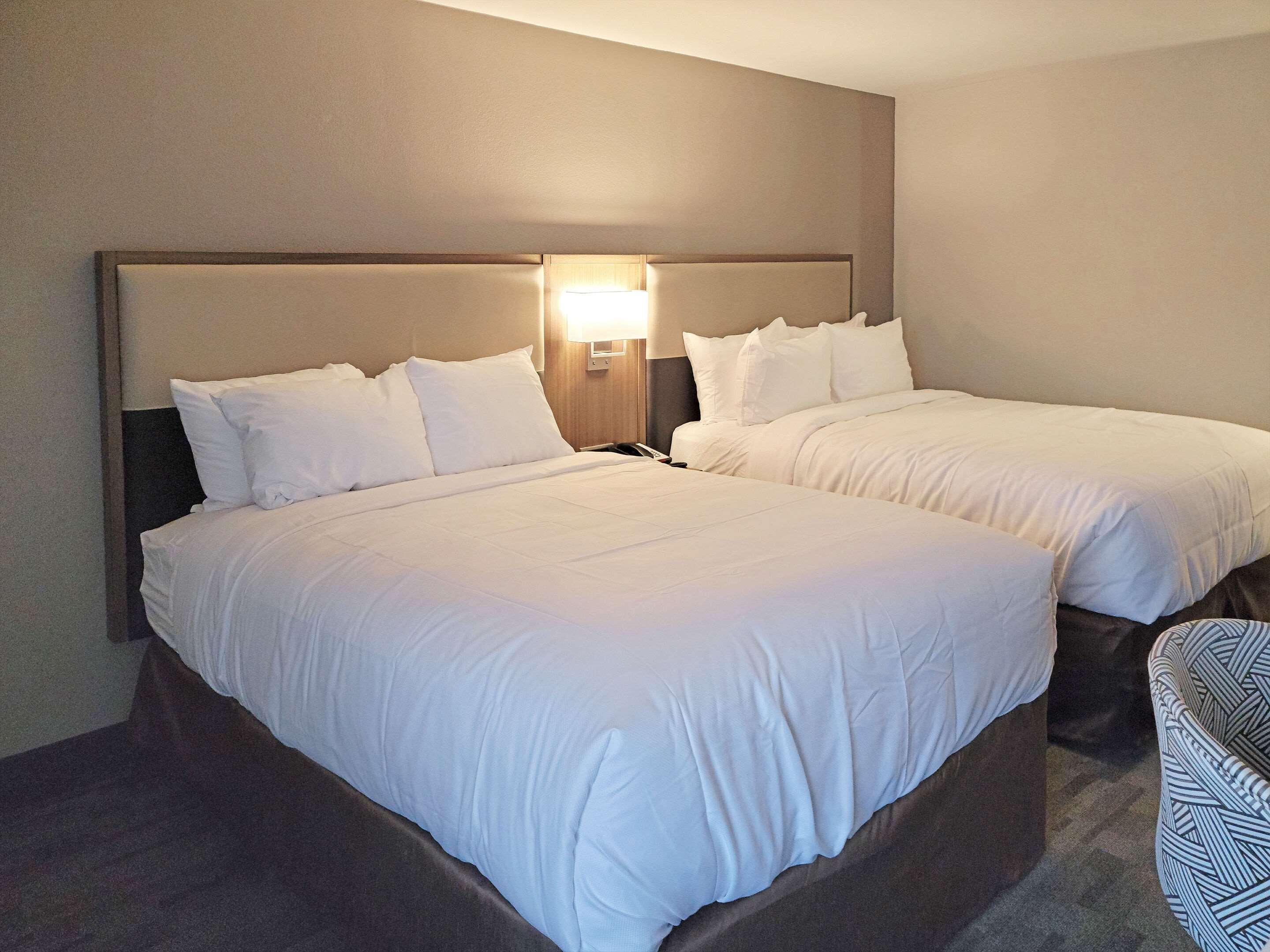 Comfort Inn & Suites Wyomissing-Reading المظهر الخارجي الصورة
